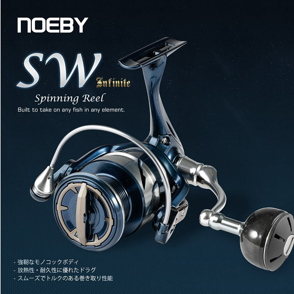 Máy câu cá Noeby, các loại 250 - đánh giá và giá Daiwa Reel Bg